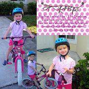 Bike 2009